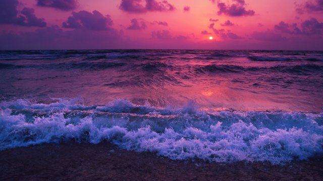 Fondos purpura